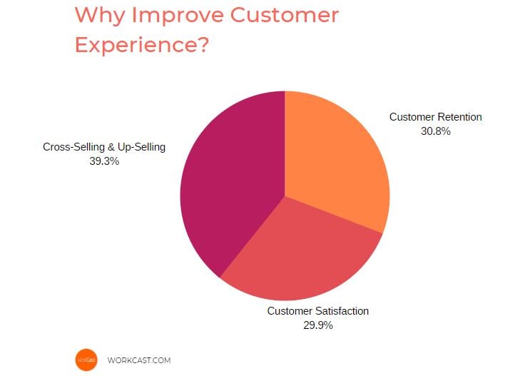 customer-experience-pie-chart